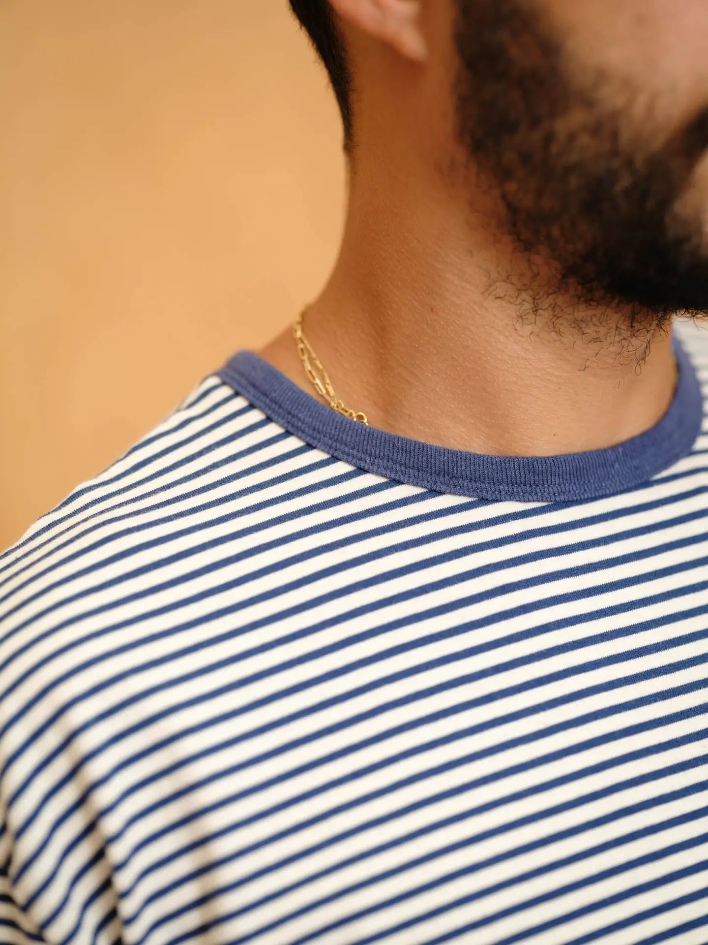 Mollusk Striped Heavy Tee